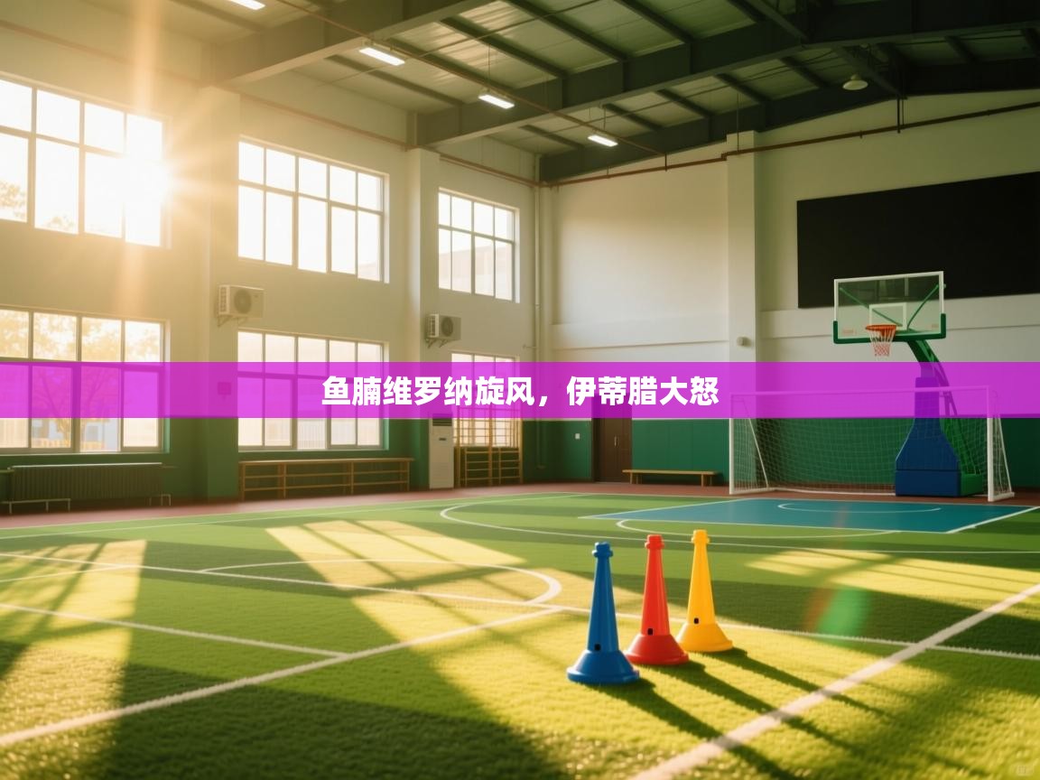 鱼腩维罗纳旋风，伊蒂腊大怒  第1张