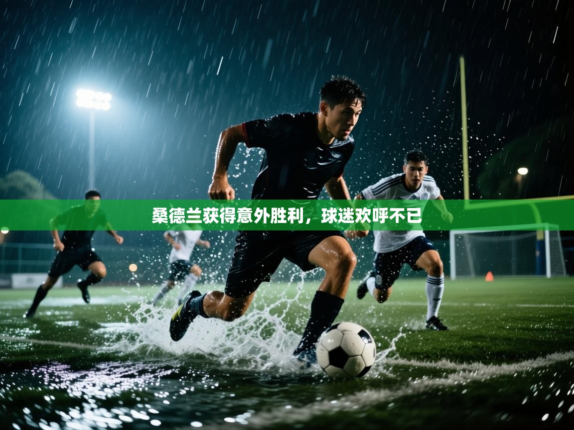 桑德兰获得意外胜利，球迷欢呼不已  第1张