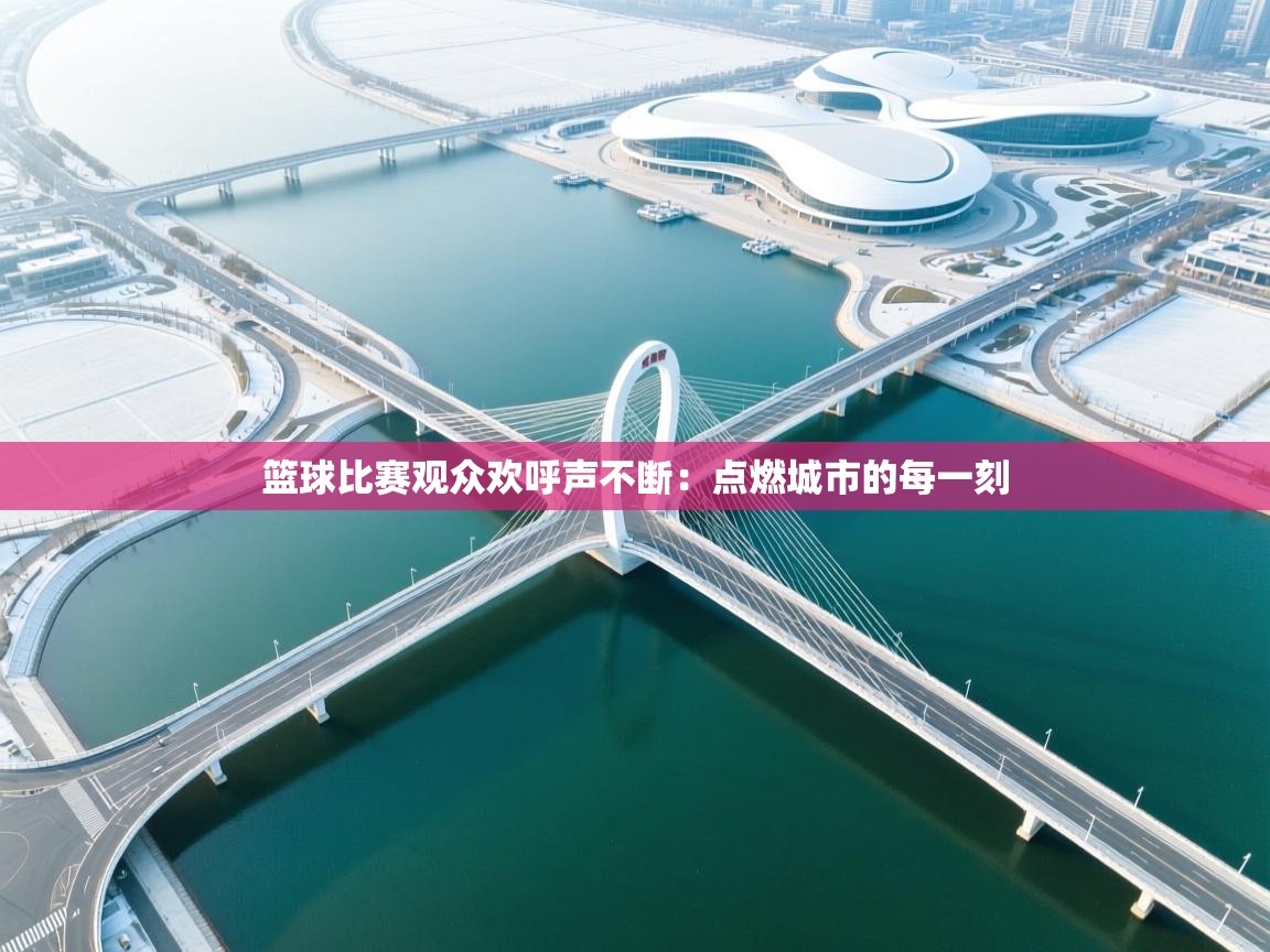 篮球比赛观众欢呼声不断：点燃城市的每一刻  第1张