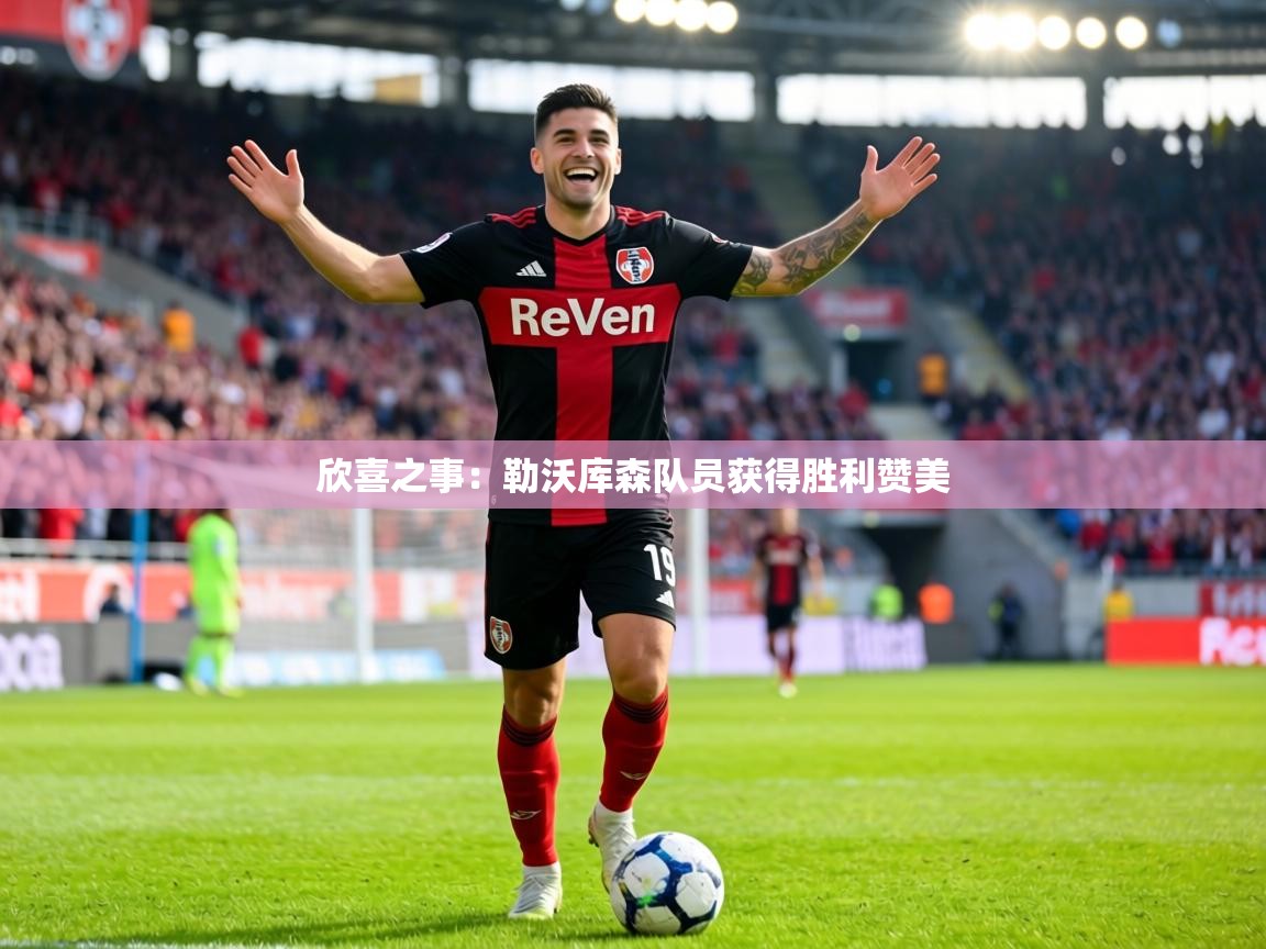 欣喜之事:勒沃库森队员获得胜利赞美 第1张